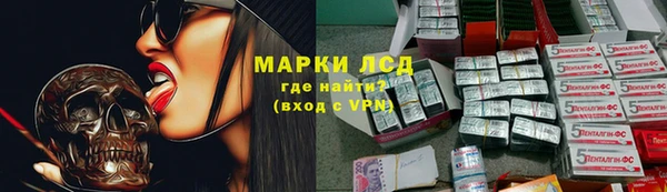 прущие грибы Алексеевка