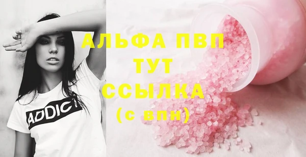 ECSTASY Новодвинск