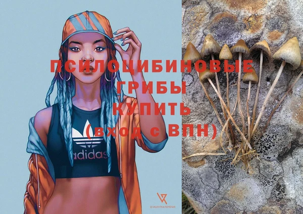 соль ск Алексин