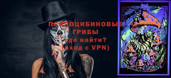 прущие грибы Алексеевка