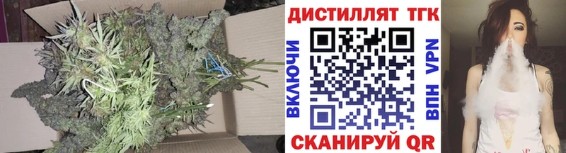 наркота  Славск  ТГК концентрат 